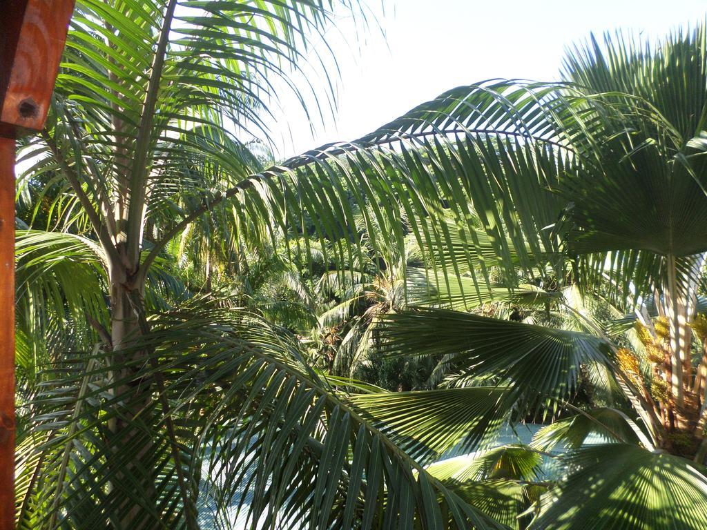 Hillside Retreat Vila Baie Lazare  Exterior foto